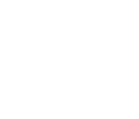 Lotus Pictures